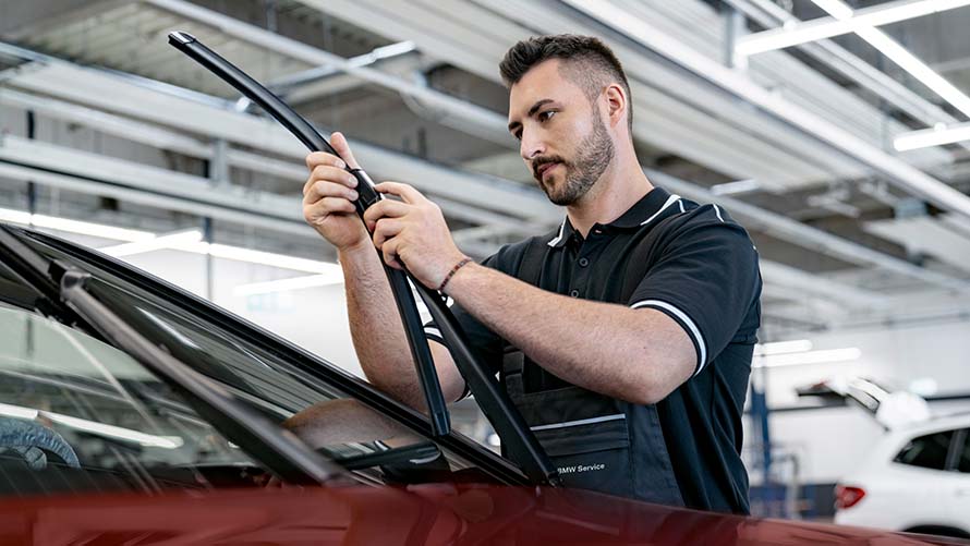 BMW Service Inclusive Plus, Service Inklusive, Serviceleistungen